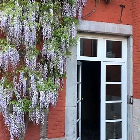 D'hotes Les Augustins - Parking Securise - Borne De Recharge Huy