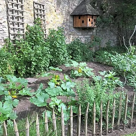 Frühstückspension D'hotes Les Augustins - Parking Securise - Borne De Recharge