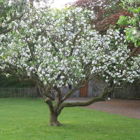 D'hôtes Les Augustins Couette-café Huy