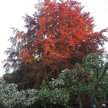 D'hotes Les Augustins - Parking Securise - Borne De Recharge Huy