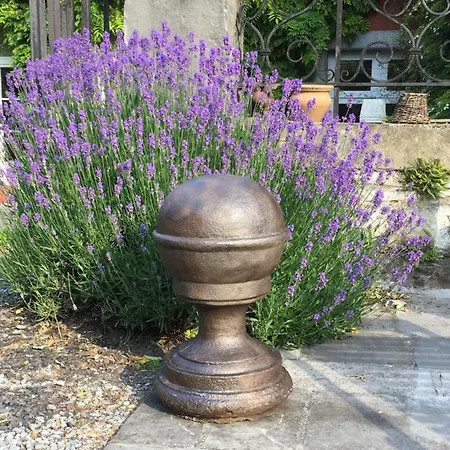 D'hotes Les Augustins - Parking Securise - Borne De Recharge Bed & Breakfast Huy
