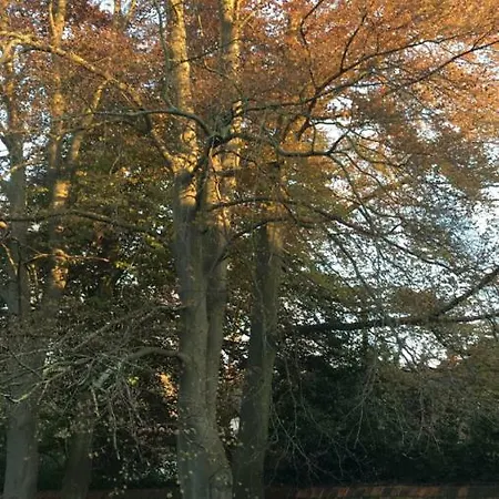 D'hotes Les Augustins - Parking Securise - Borne De Recharge Panzió 3*