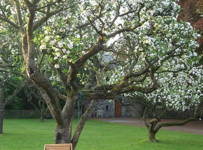 Bed and breakfast D'hôtes Les Augustins - Parking Sécurisé - Borne De Recharge